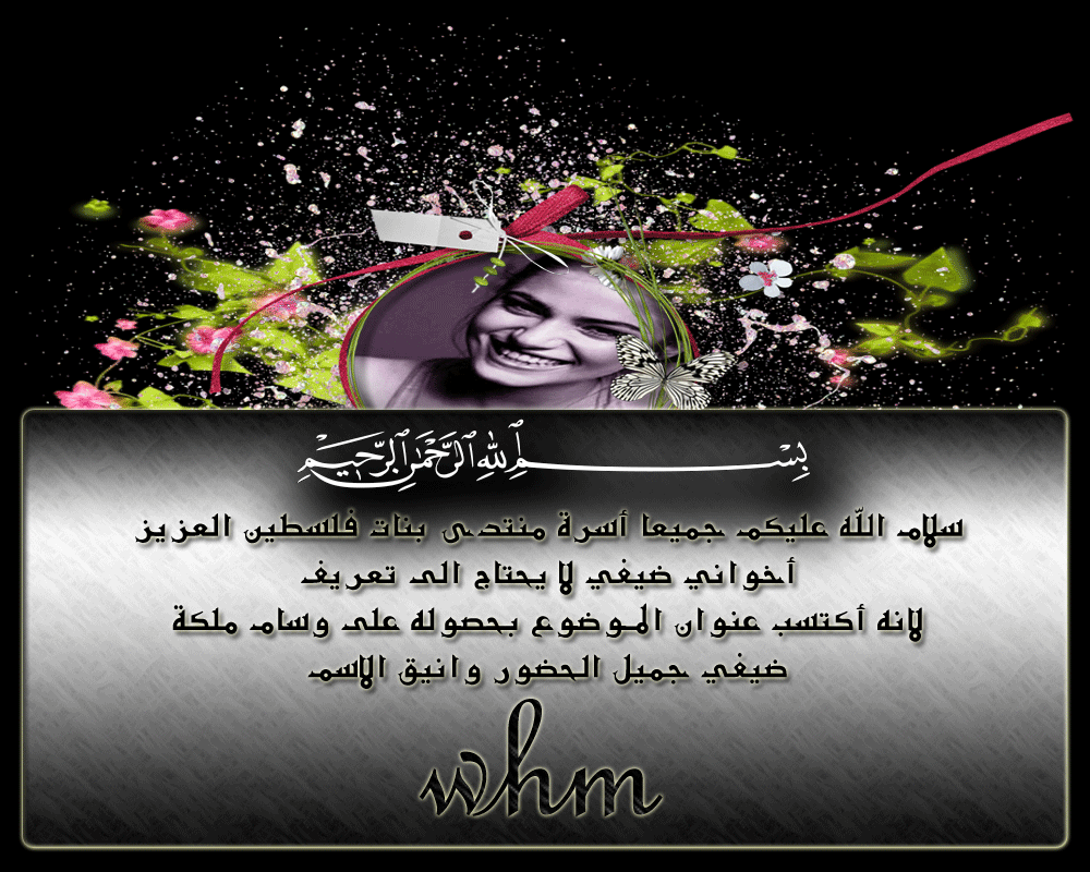 bntpal.com_146017515