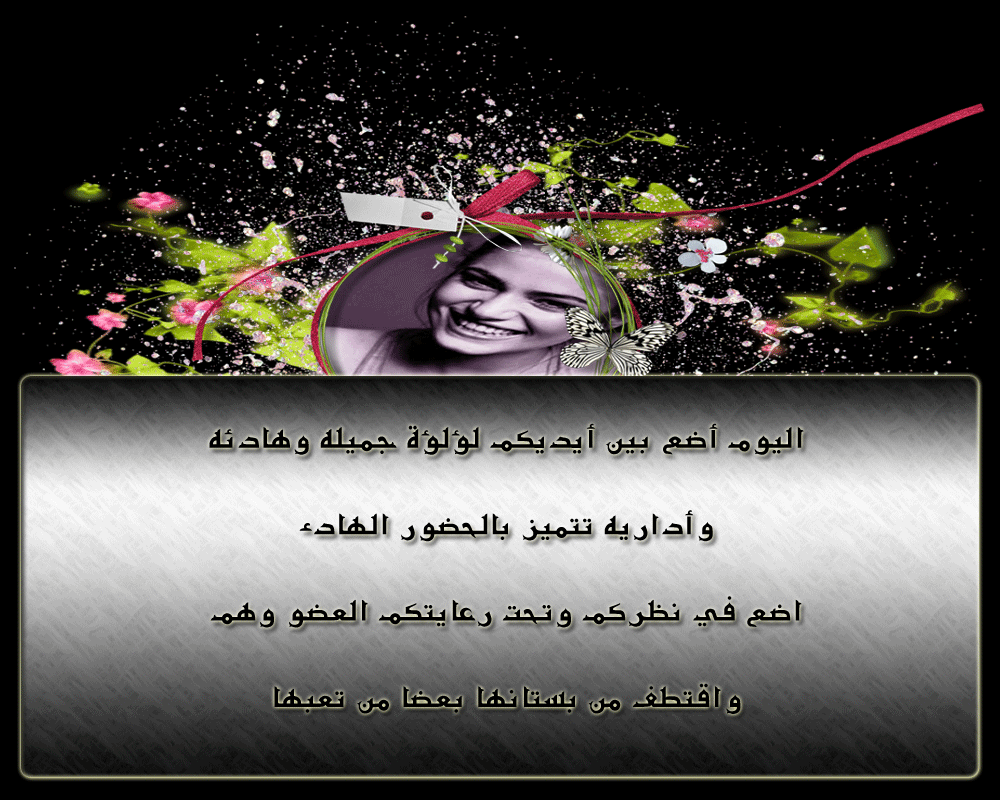 bntpal.com_146017527