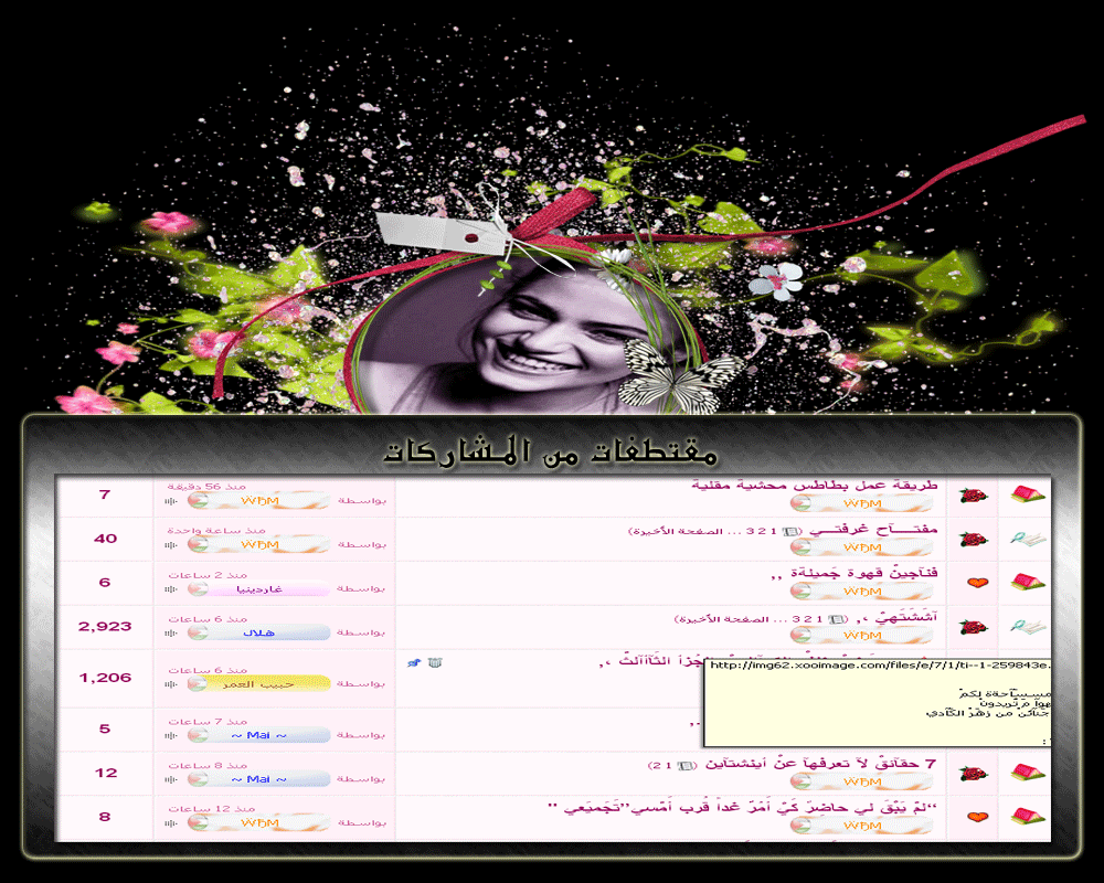 bntpal.com_146017527