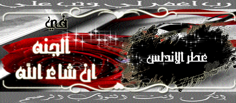  bntpal.com_146018004