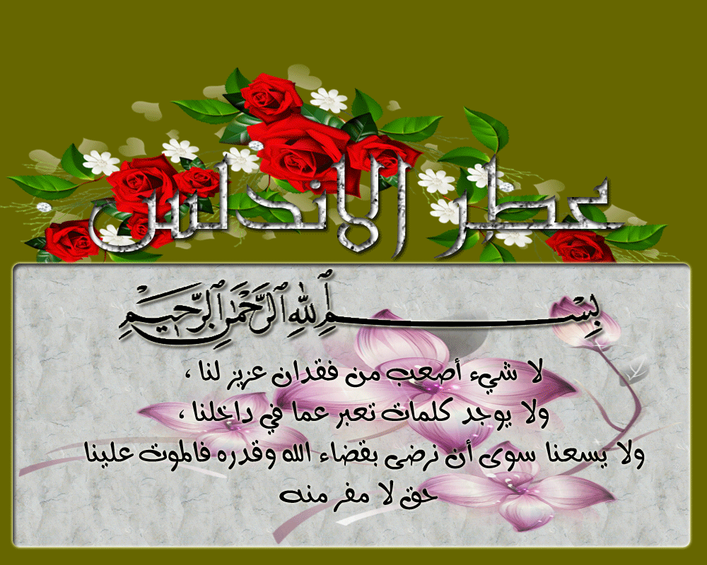 .. bntpal.com_146020225