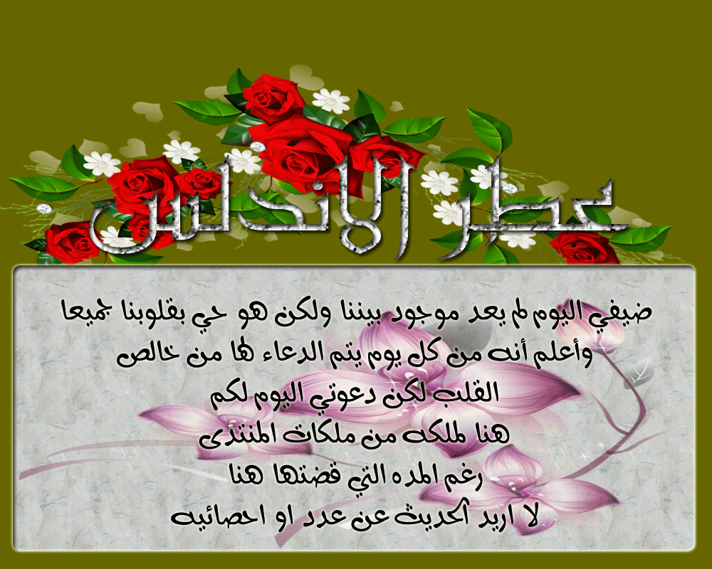 .. bntpal.com_146020225