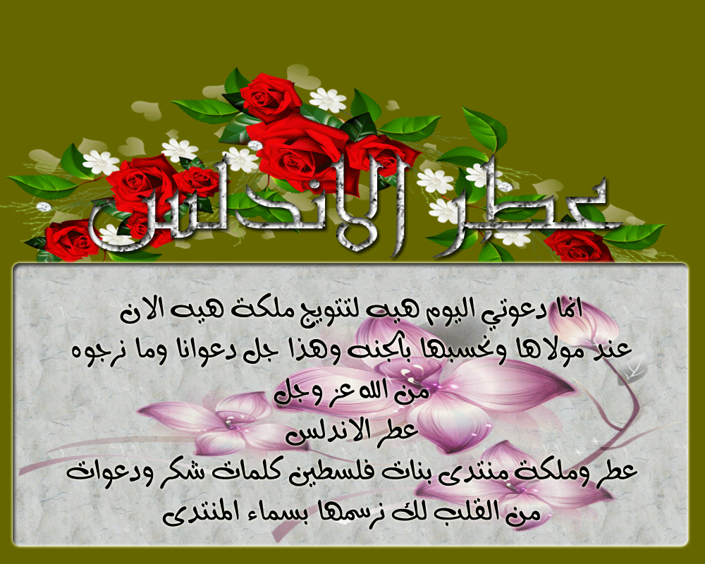 .. bntpal.com_146020225