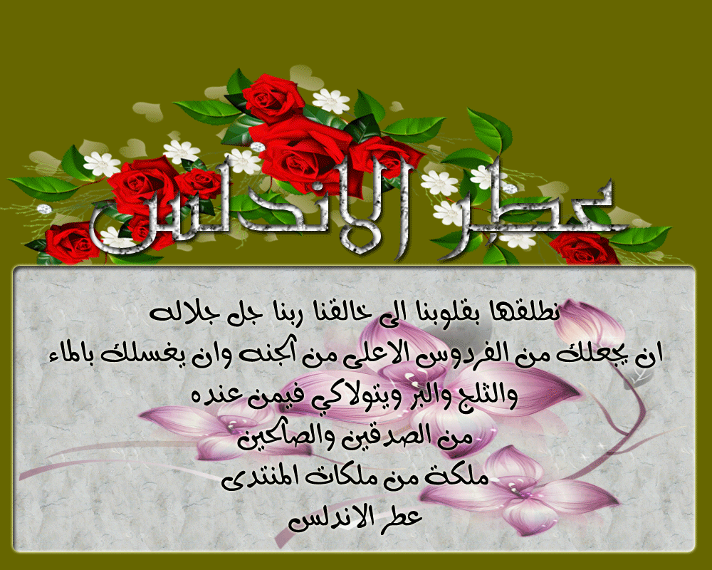 .. bntpal.com_146020225