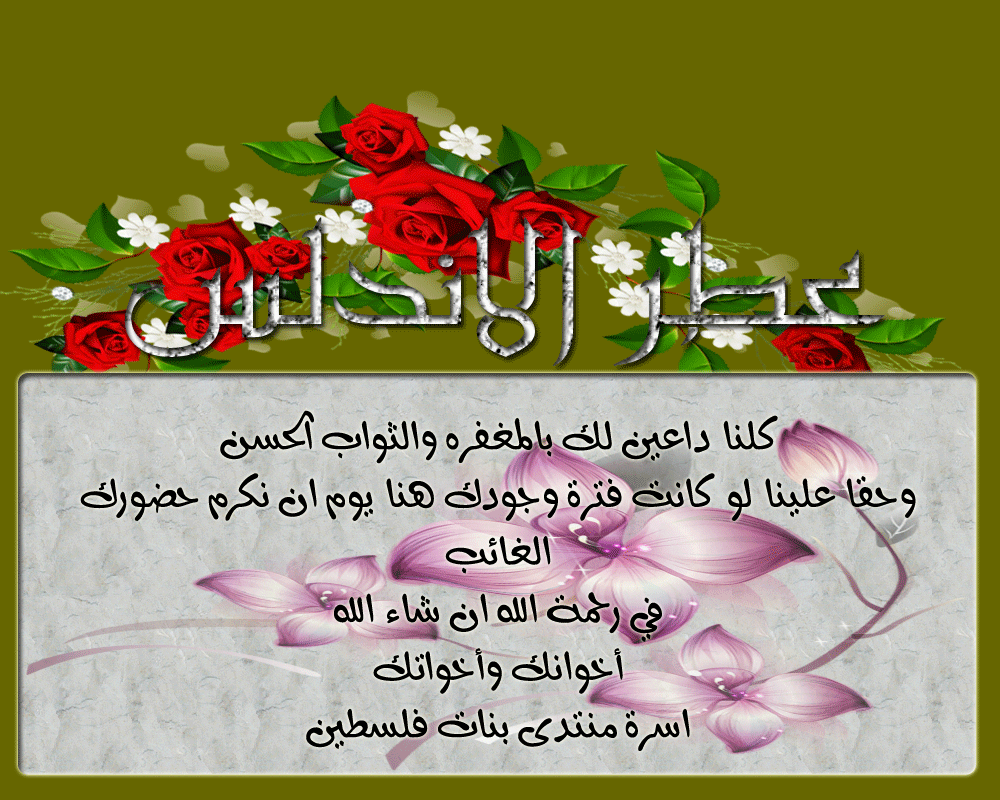 .. bntpal.com_146020225