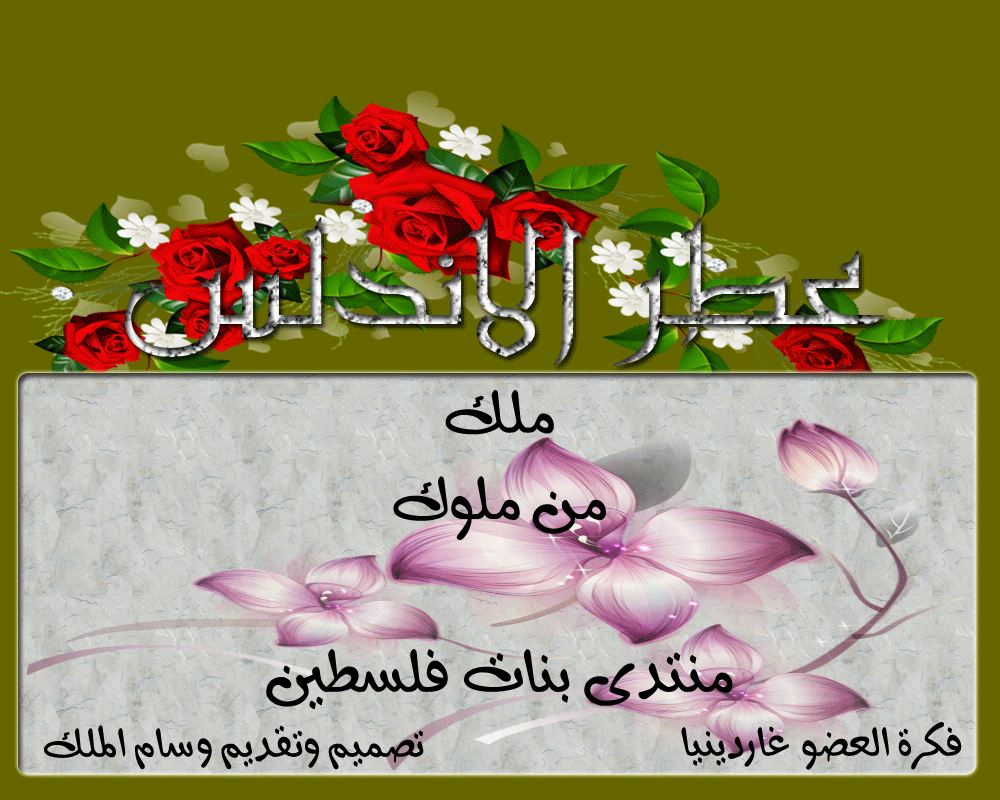 .. bntpal.com_146026027