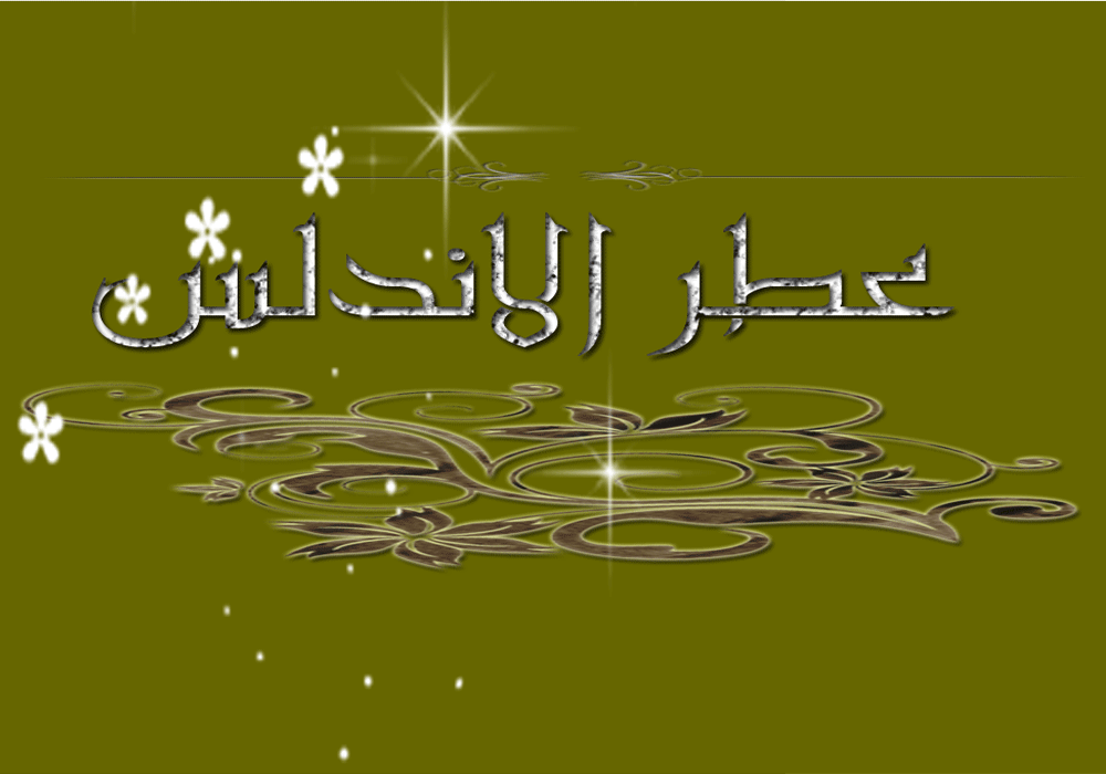 .. bntpal.com_146026036