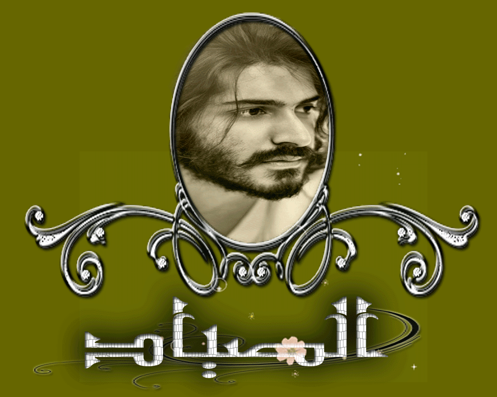 bntpal.com_146035773