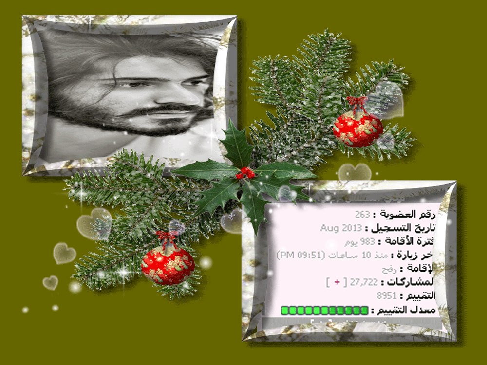 bntpal.com_146035823