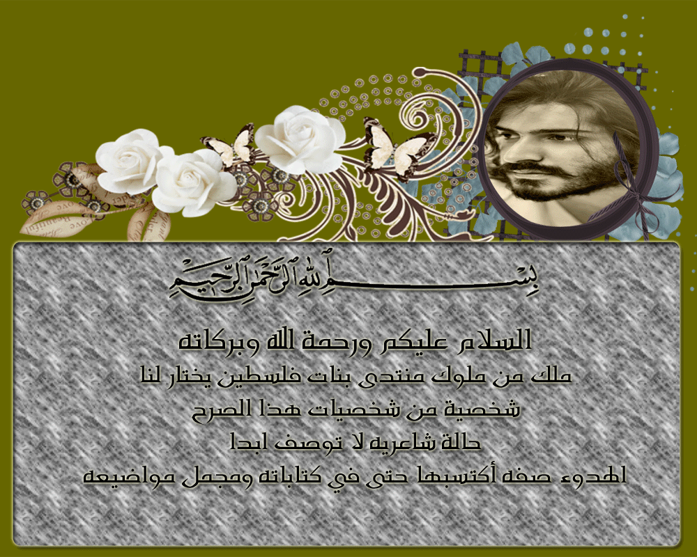 bntpal.com_146035845