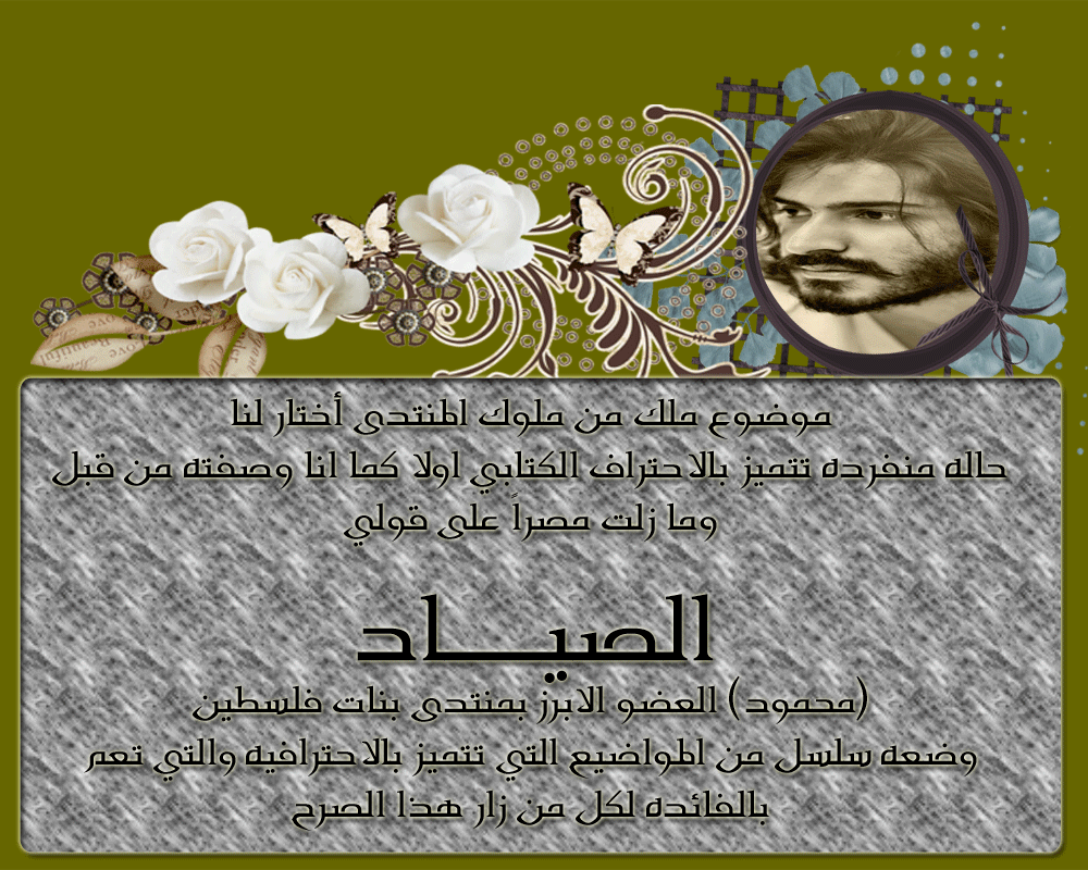 bntpal.com_146035845