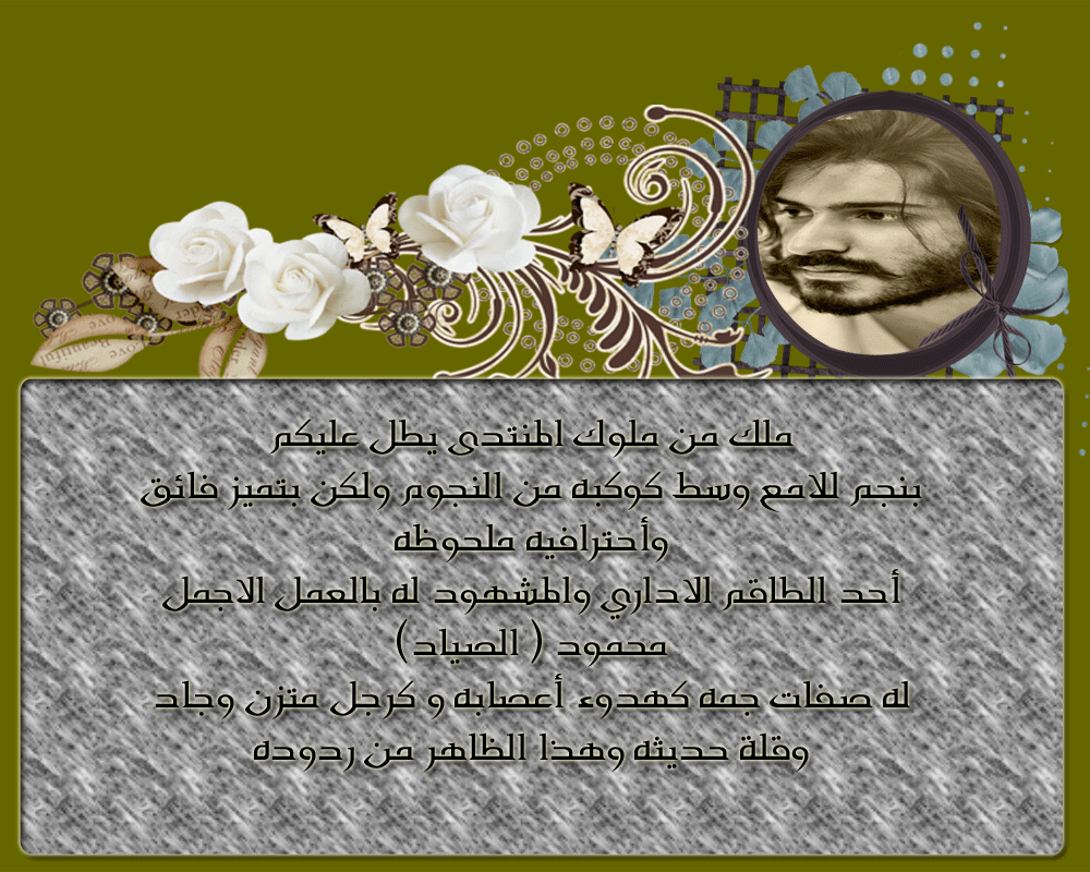 bntpal.com_146035845