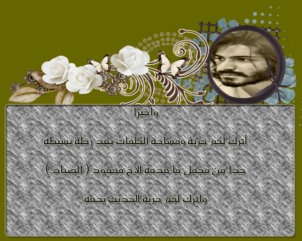 bntpal.com_146035859