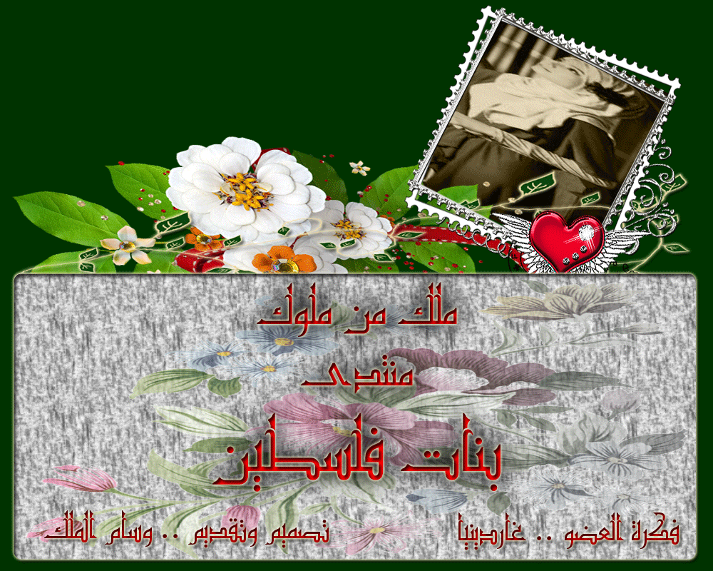 bntpal.com_146044403