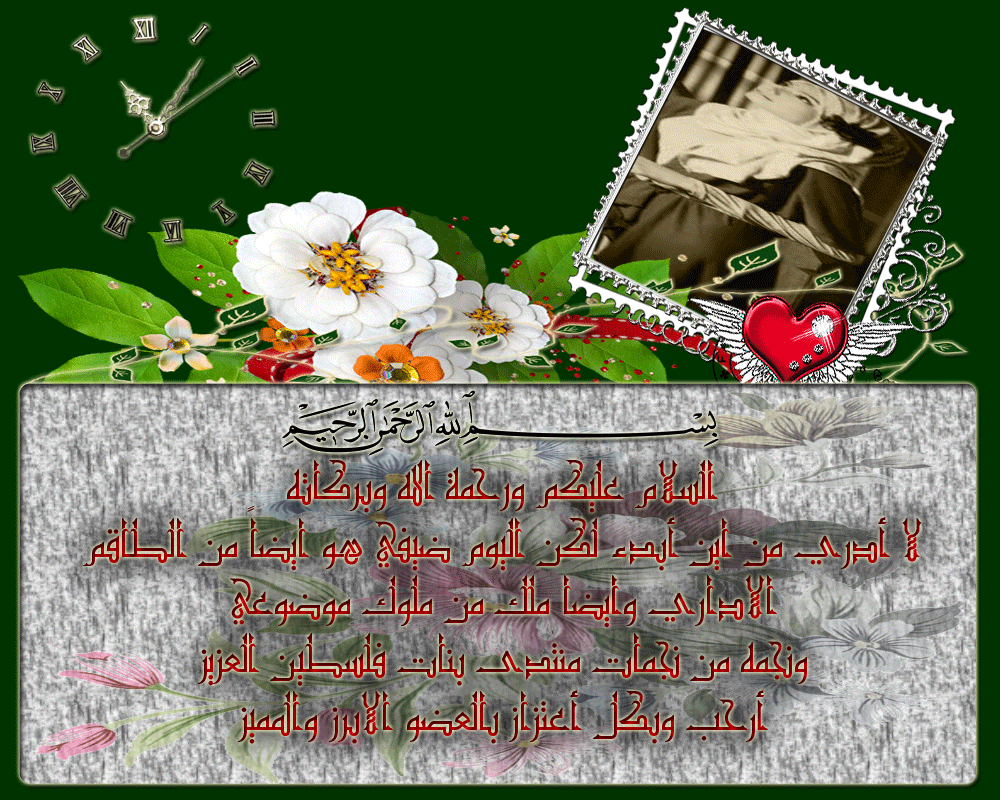 bntpal.com_146044418