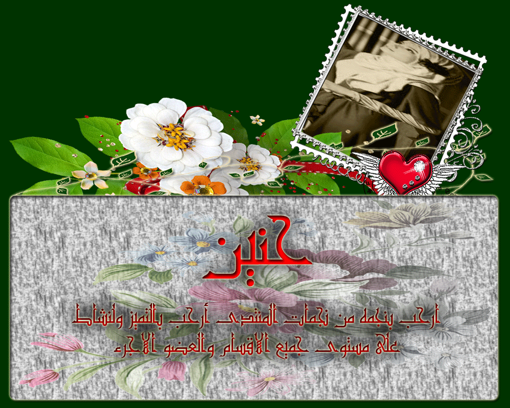bntpal.com_146044418