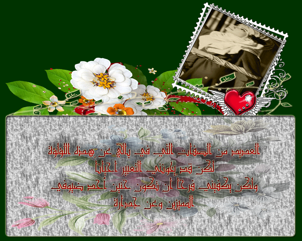 bntpal.com_146044418