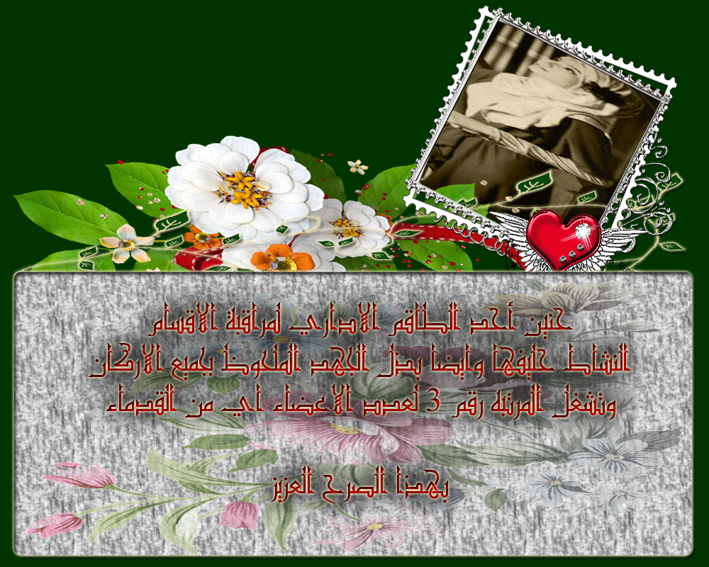 bntpal.com_146044428