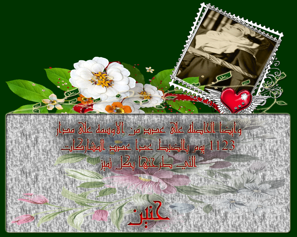 bntpal.com_146044428