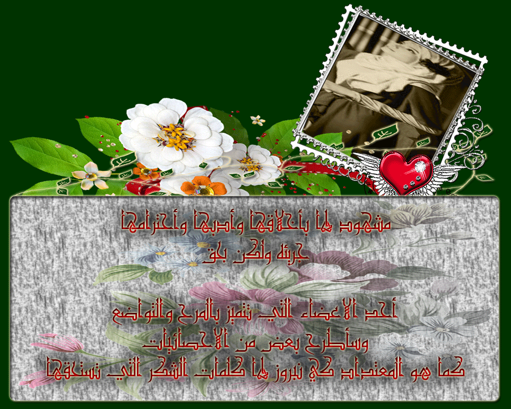 bntpal.com_146044428