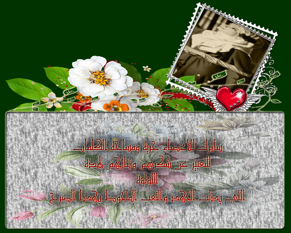 bntpal.com_146044442