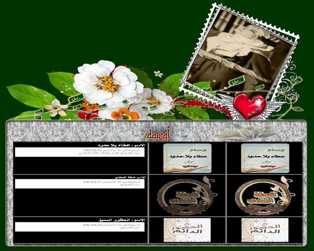 bntpal.com_146044442