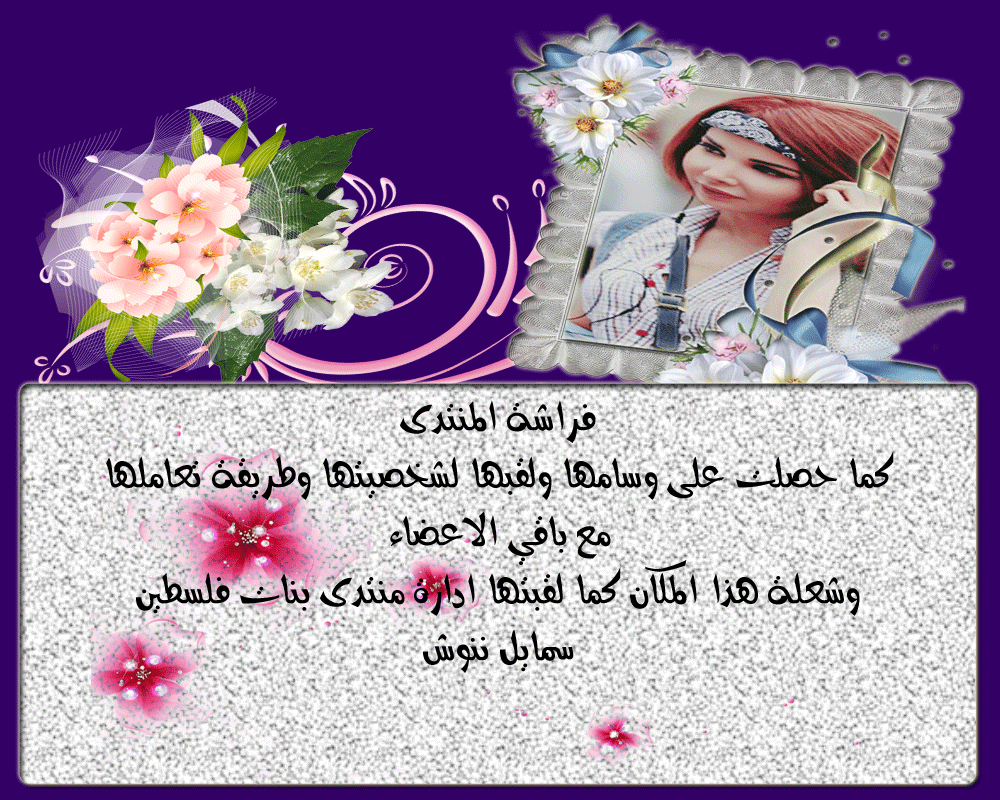 bntpal.com_146052933