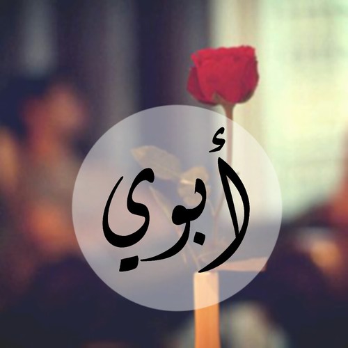  bntpal.com_146057214