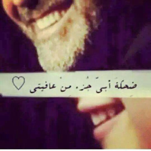  bntpal.com_146057214