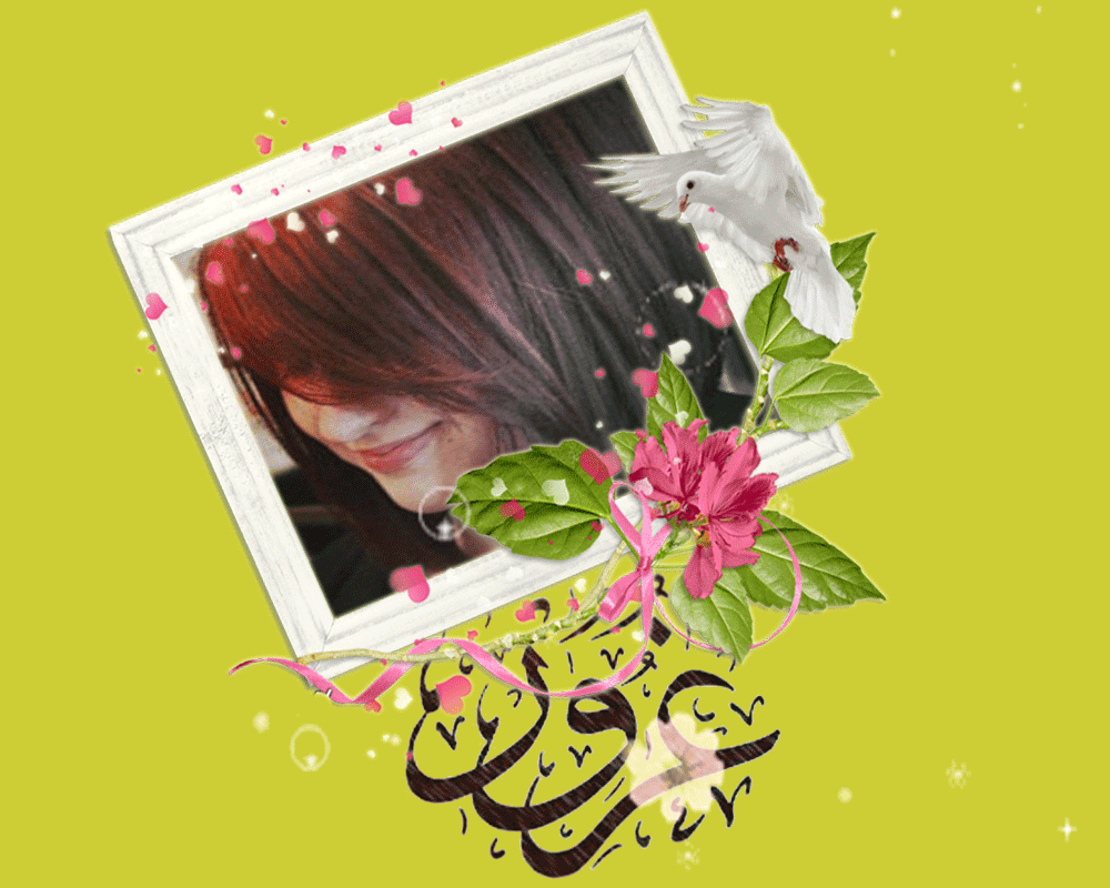 bntpal.com_146062292