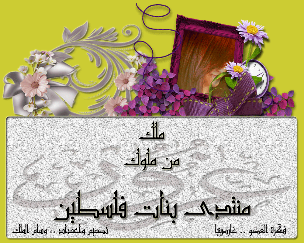 bntpal.com_146062297