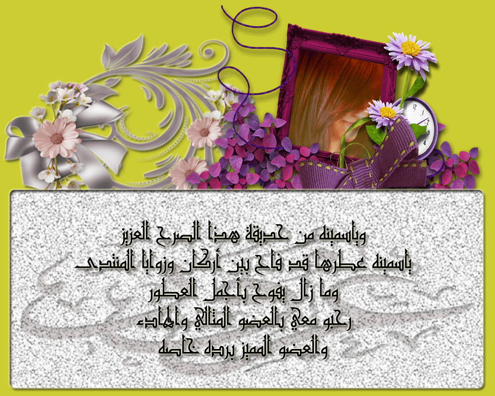 bntpal.com_146062309