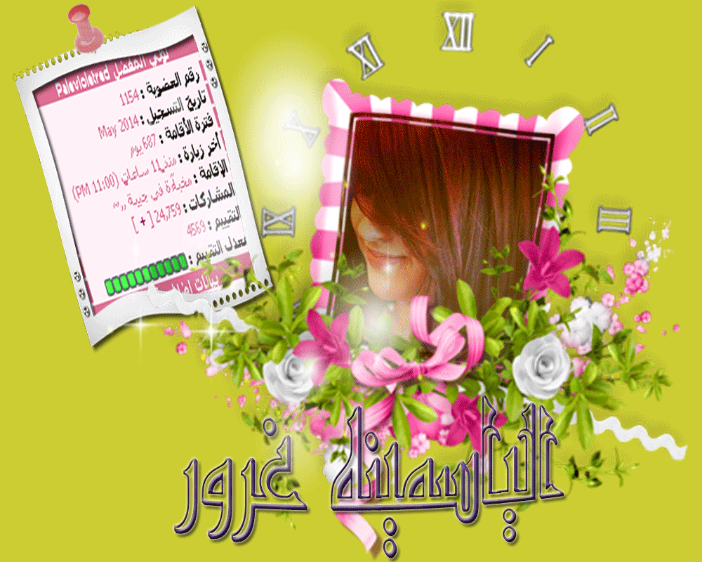 bntpal.com_146062330