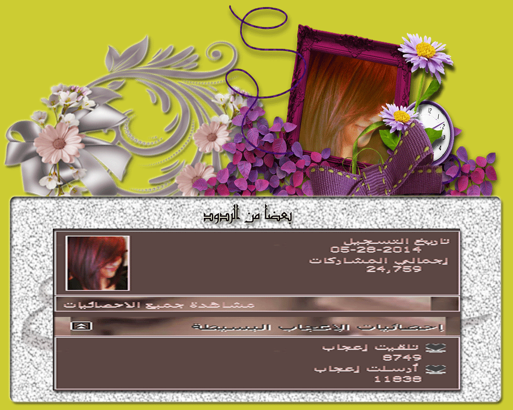 bntpal.com_146062353