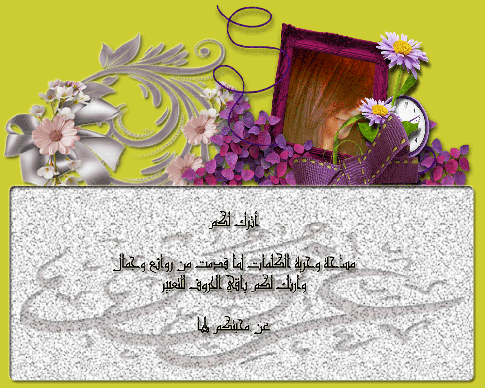 bntpal.com_146062353