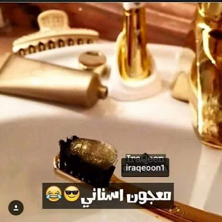 bntpal.com_146081278