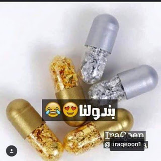 bntpal.com_146081278