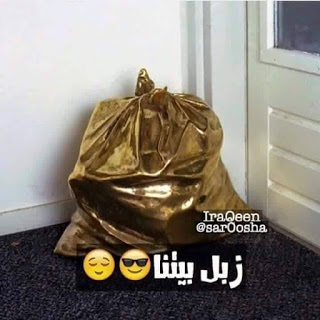 bntpal.com_146081278