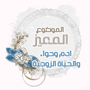   bntpal.com_146091219