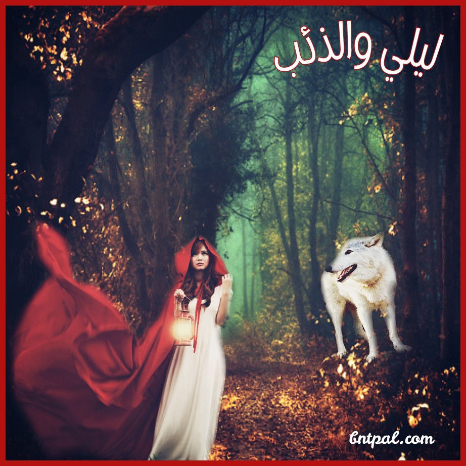 bntpal.com_146096583