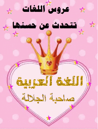  bntpal.com_146115905