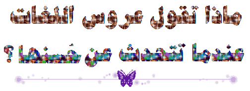  bntpal.com_146115905