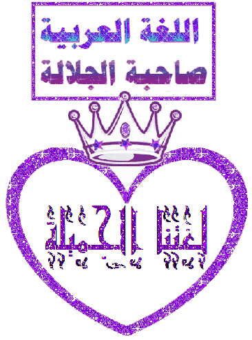  bntpal.com_146115905