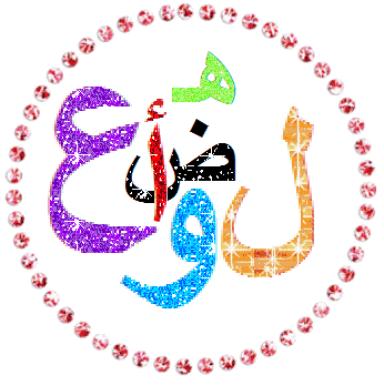  bntpal.com_146115905