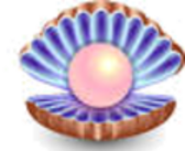  bntpal.com_146115905