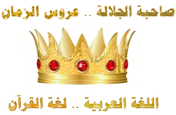 bntpal.com_146115931