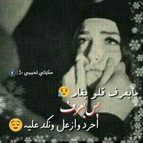 bntpal.com_146121194