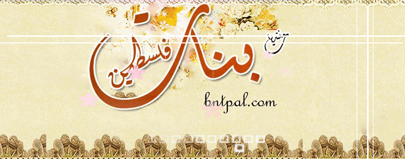 bntpal.com_146122196