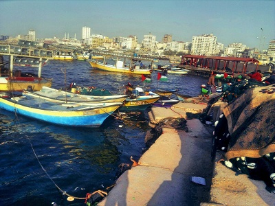 bntpal.com_146133060