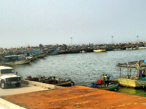 bntpal.com_146133060